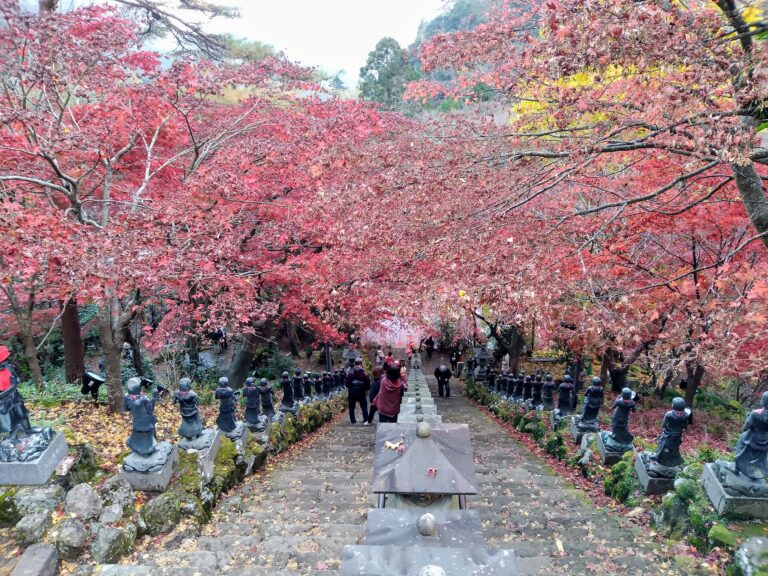 Stone steps of Oyama-dera temple lined with red autumn maples