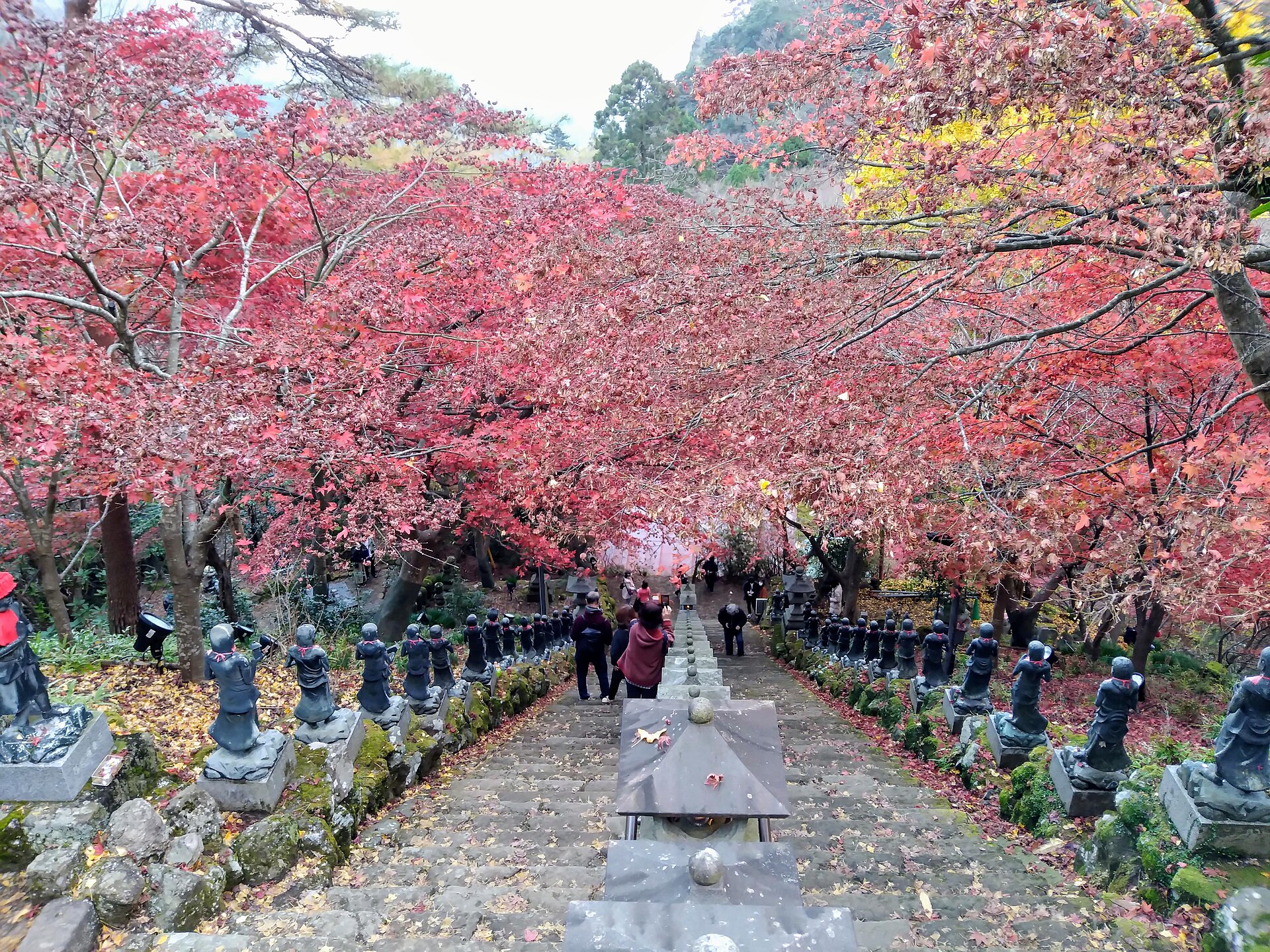 Stone steps of Oyama-dera temple lined with red autumn maples